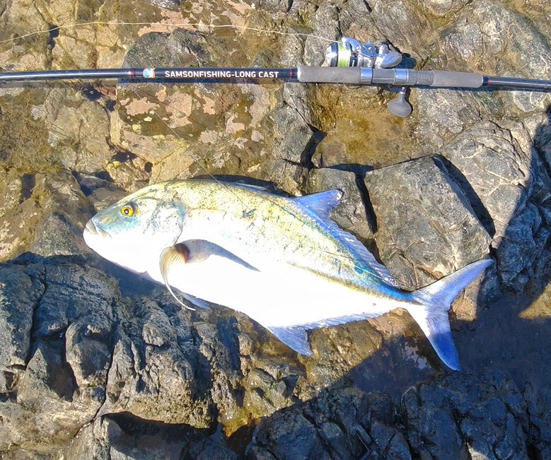 Big Sea Bass Fishing With Lures Using The Samson Long Cast Rod To
